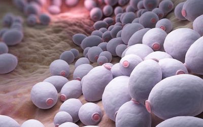 Estomatitis candidiásica: qué es, síntomas y cómo tratarla